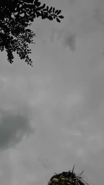 BlackMausi99 21-07-2021 XXX 